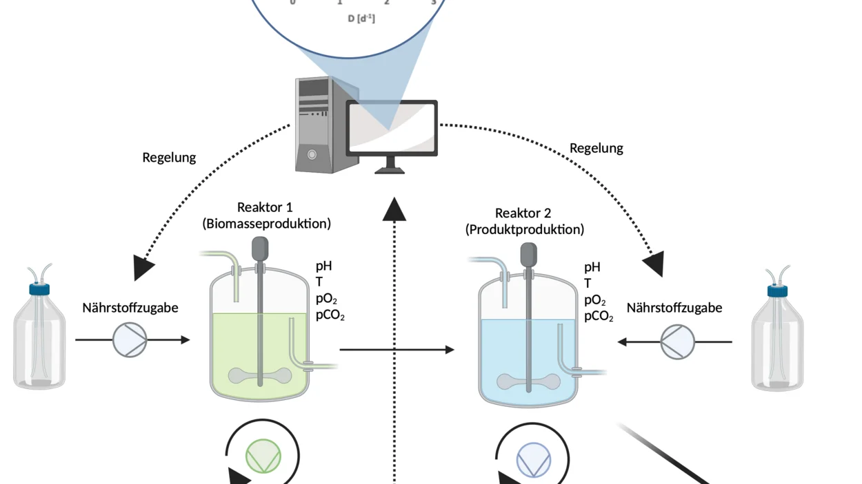 Abbildung des Projektkreislaufs