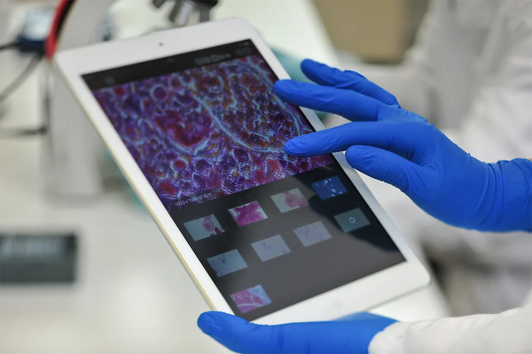 Labor - Bioinformatik