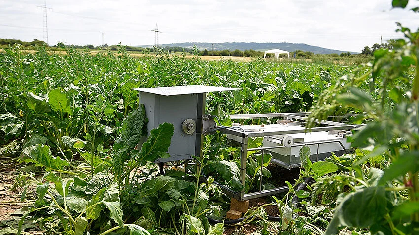 Automatische Haubenmessanlage