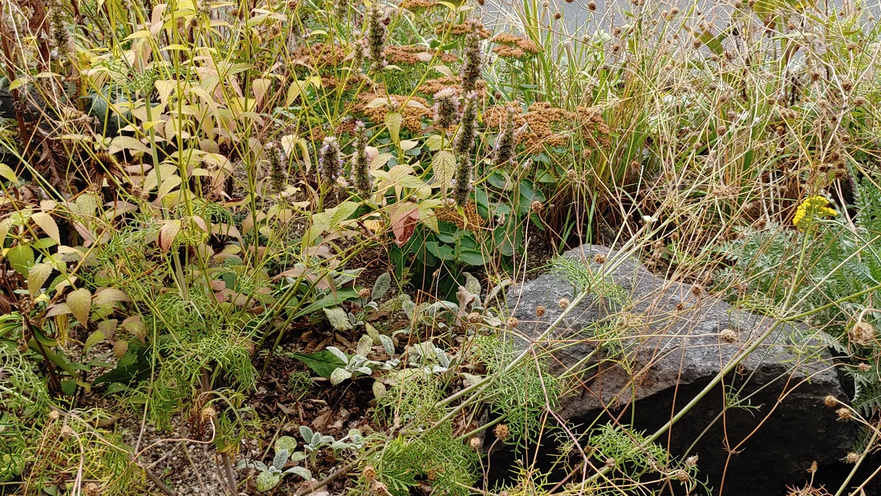 Straßenrand mit Begrünung