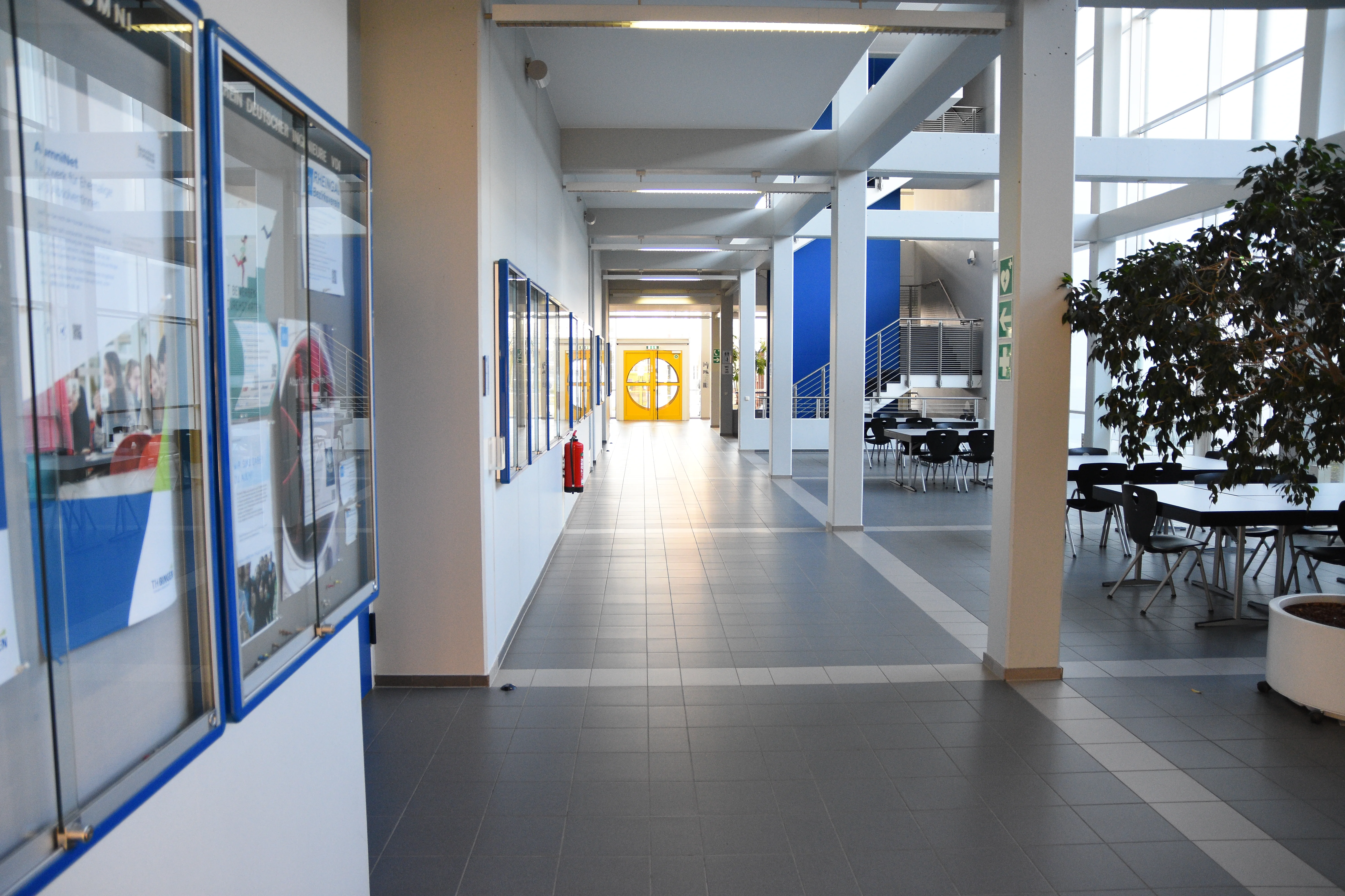 Das TH-Bingen Campusgebäude 5 von innen