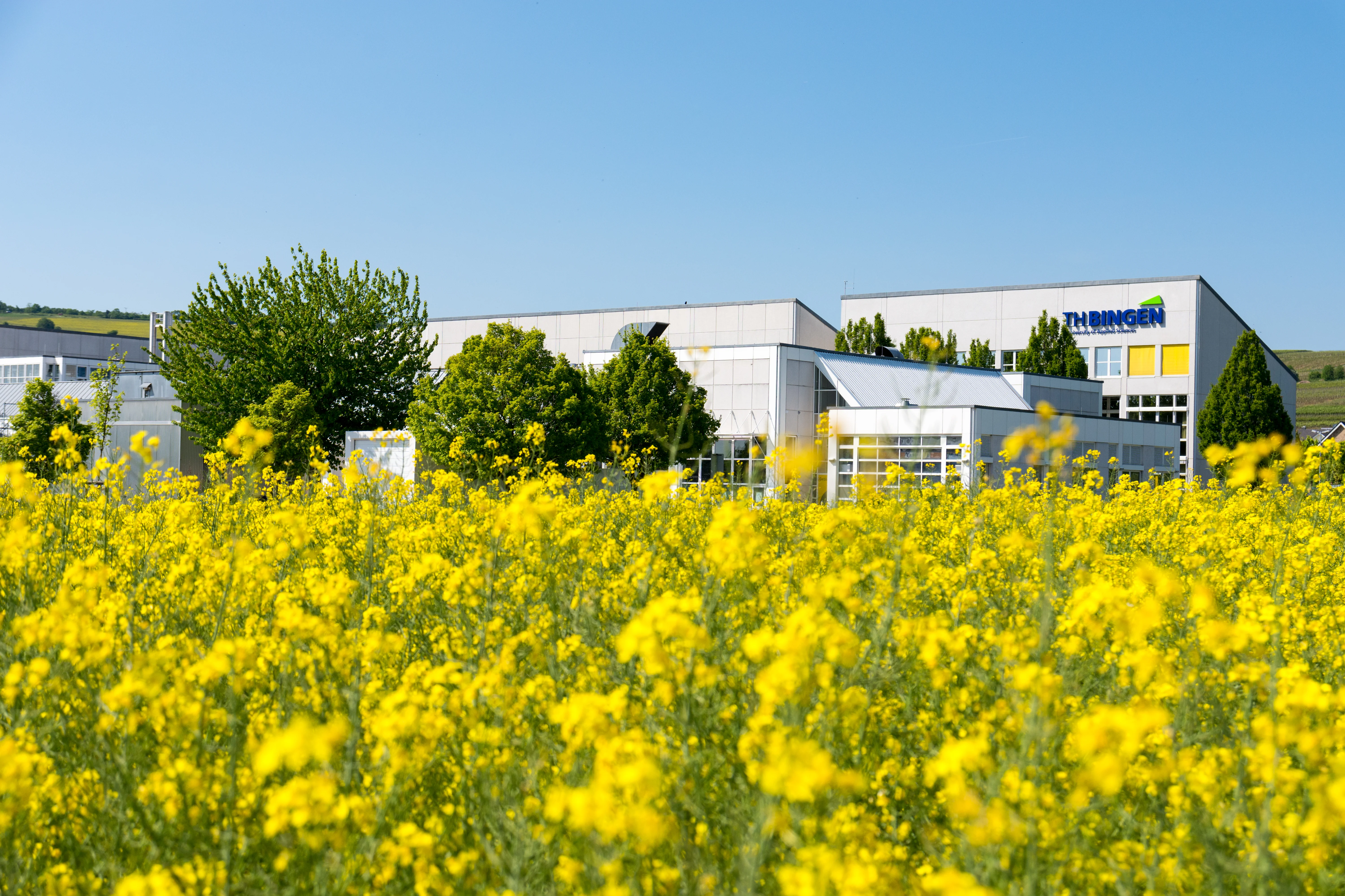 Technische Hochschule Bingen Campusgebäude