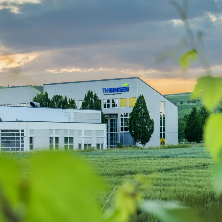 Das Campusgebäude der Technischen Hochschule Bingen im Sommer