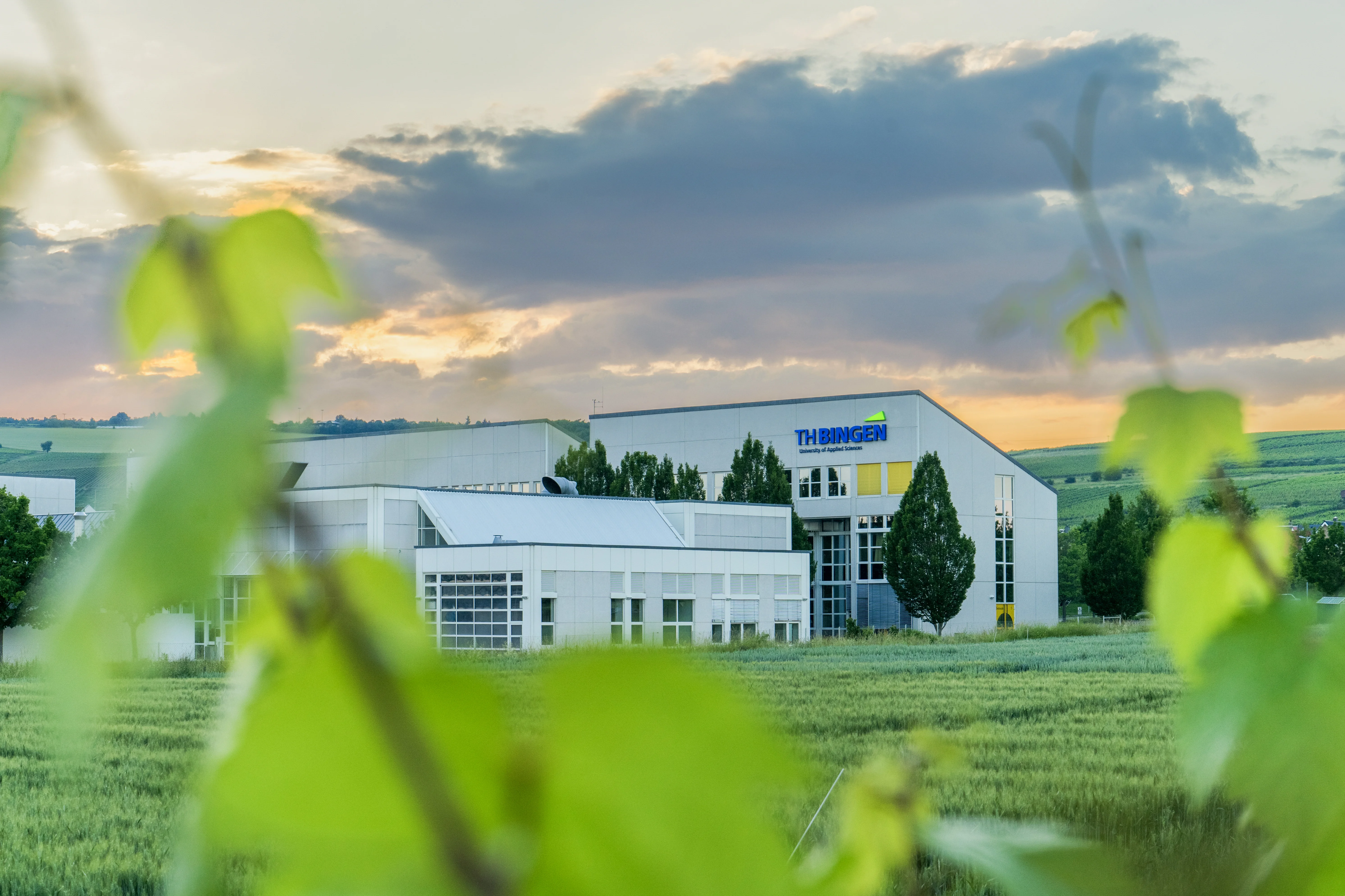 Das Campusgebäude der Technischen Hochschule Bingen im Sommer