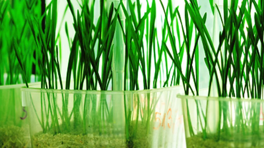 Bodenlabor TH Bingen