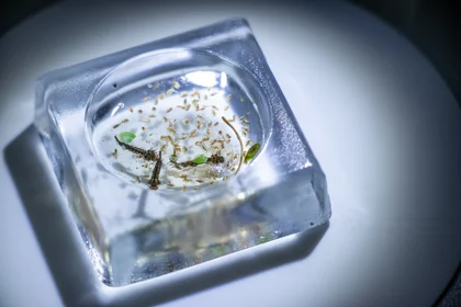 Das Bild zeigt Material unter einem Mikroskop