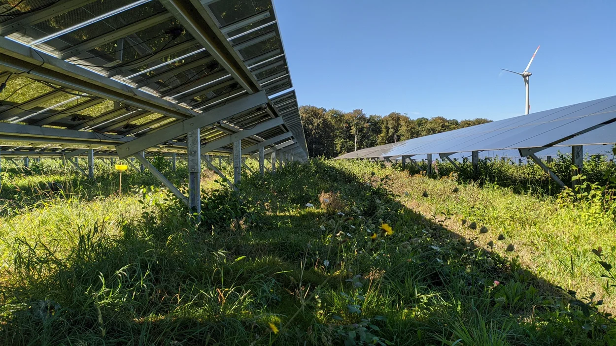 Solarpark im Feld