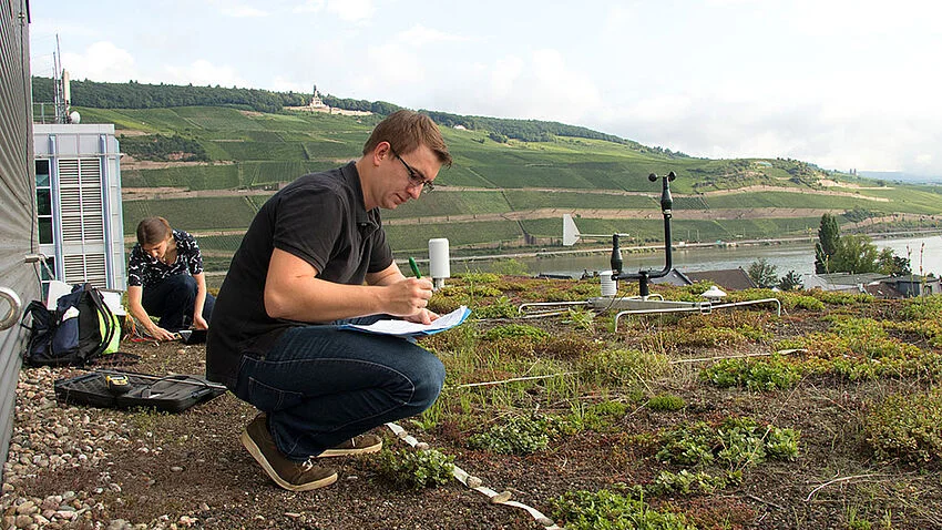 Mitarbeiter auf Dach mit Begrünung