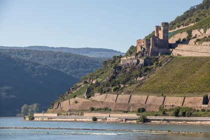 Das Foto zeigt den Rhein, Weinberge und eine Burgruine nahe Bingen