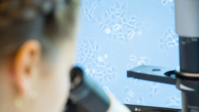 Mikroskop mit Vergrößerter Zellkultur im Hintergrund