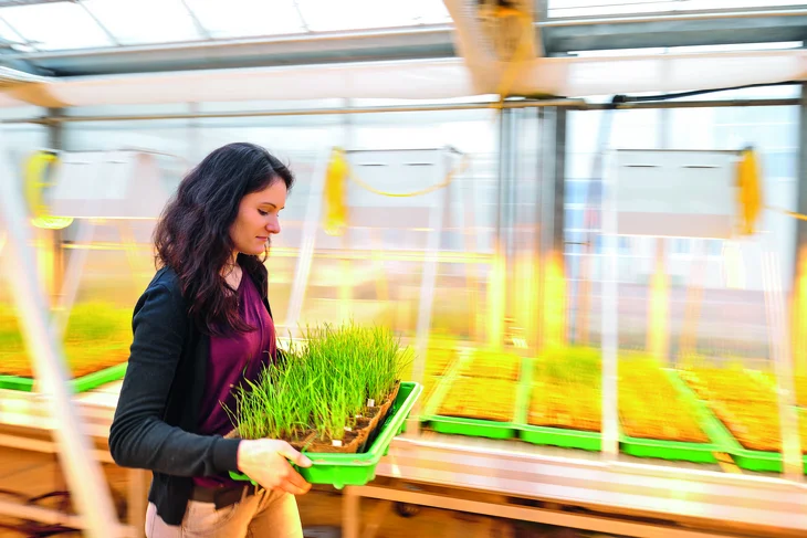 Eine Studentin läuft mit einem Pflanzenbehältnis durch ein Gartenhaus